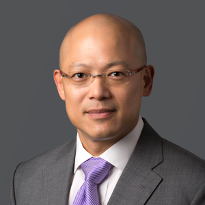 T.L. Lim (Panelists) (Partner at Mayer Brown)
